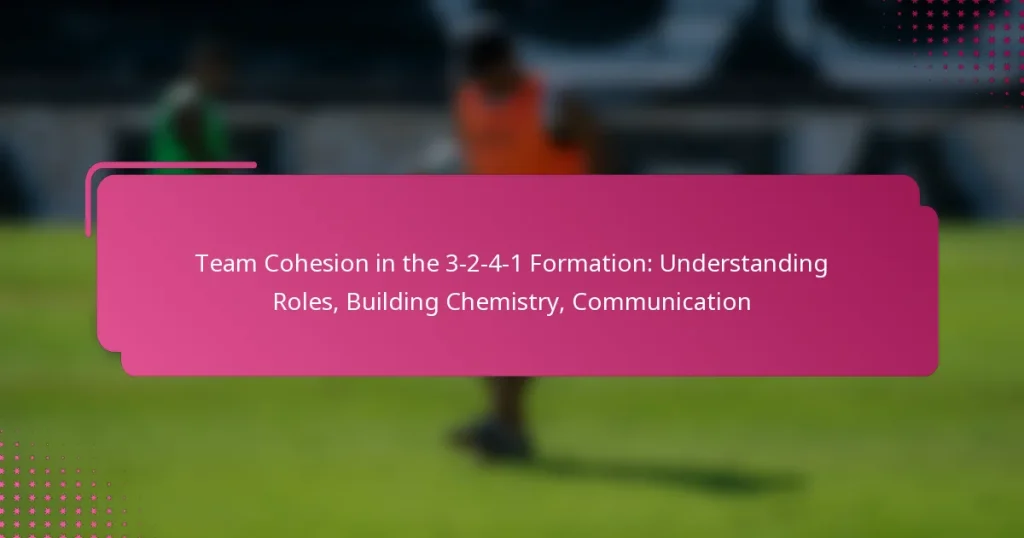 Team Cohesion in the 3-2-4-1 Formation: Understanding Roles, Building Chemistry, Communication