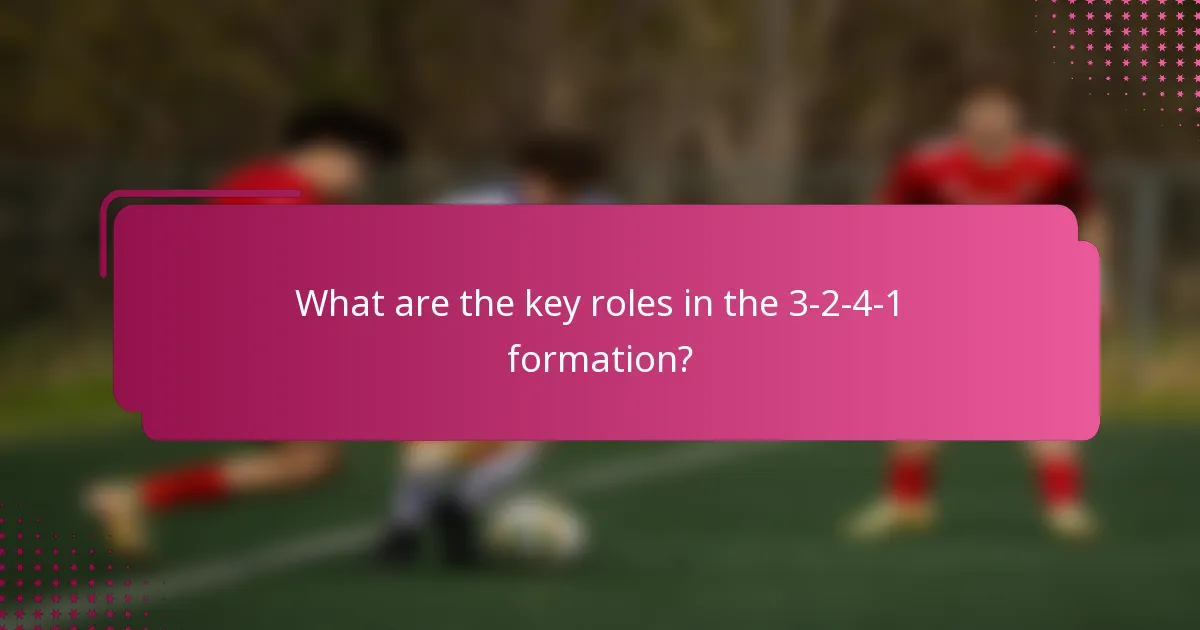 What are the key roles in the 3-2-4-1 formation?
