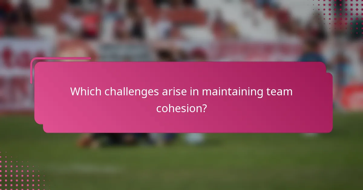 Which challenges arise in maintaining team cohesion?
